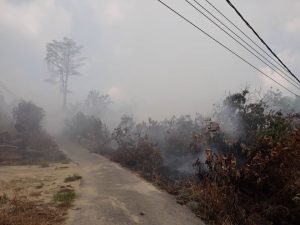 rumah mudah berhabuk