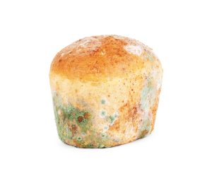types of food contamination