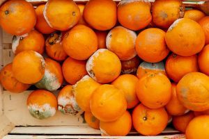 types of food contamination