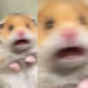 Phobia of mouse